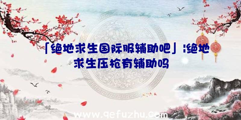 「绝地求生国际服辅助吧」|绝地求生压枪有辅助吗